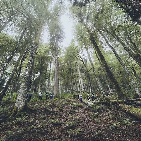 Haus Bergland Sankt Martin am Tennengebirge