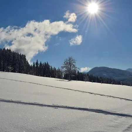 Apartmán Haus Bergland *
