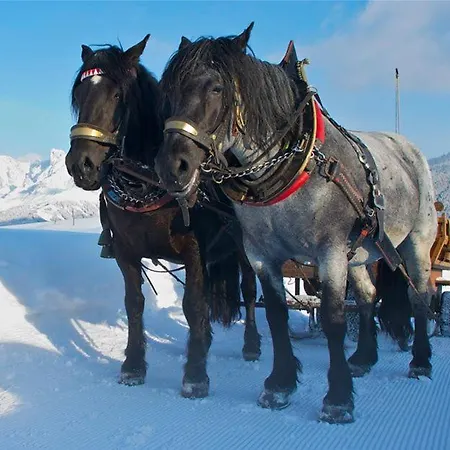 Haus Bergland Apartmán