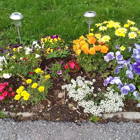 Haus Bergland Apartmán