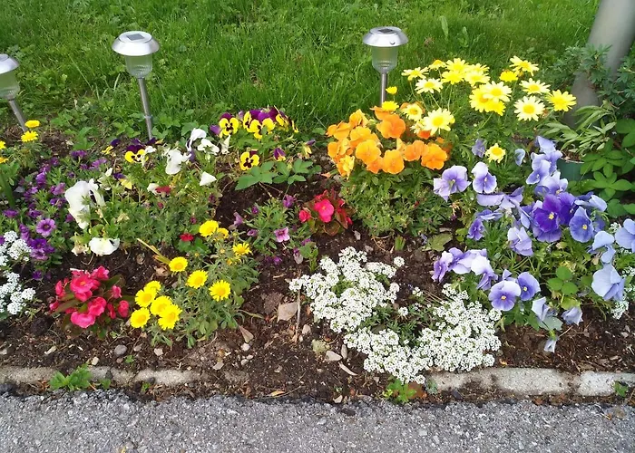 Haus Bergland Apartment